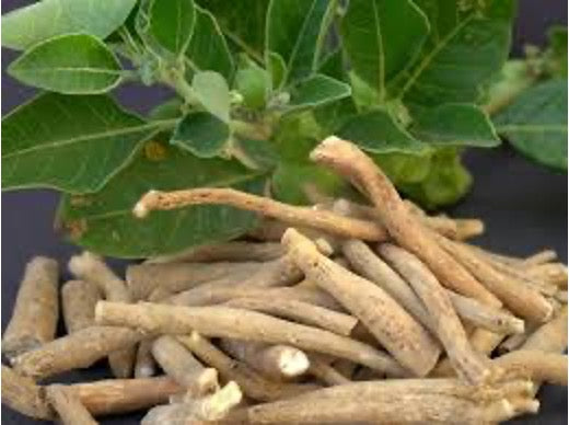Organic Ashwagandha
