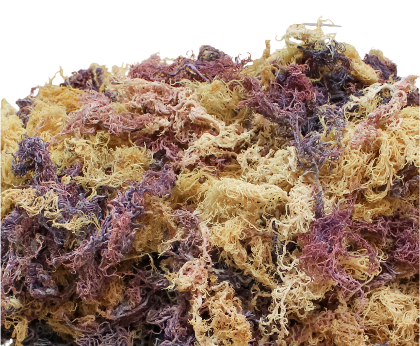 Raw Sea Moss 4oz
