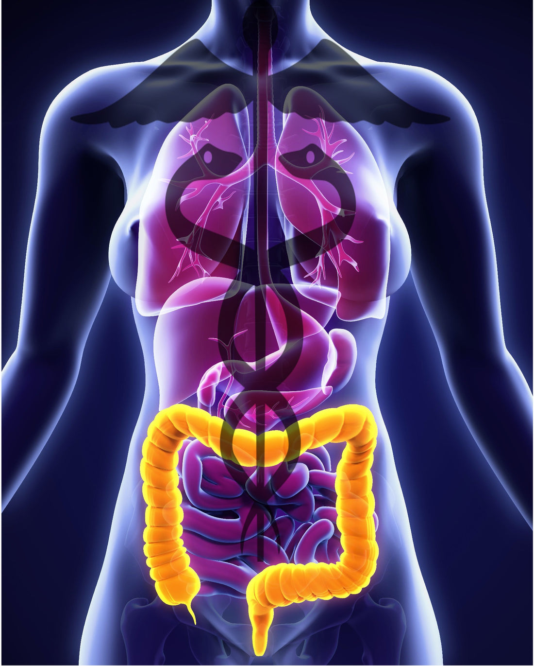 30-Day Colon Detox