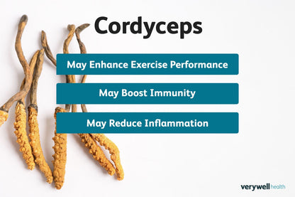 Organic Cordyceps