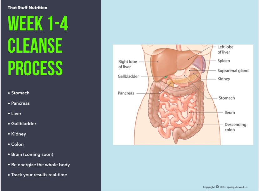 30-Day Waste Removal System (Phase 1)